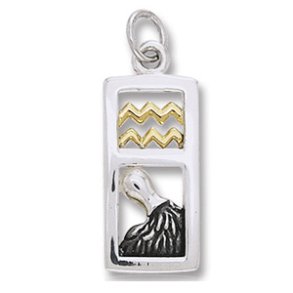 Vedhng Vandbreren Stjernetegn - 26mm - u/kde